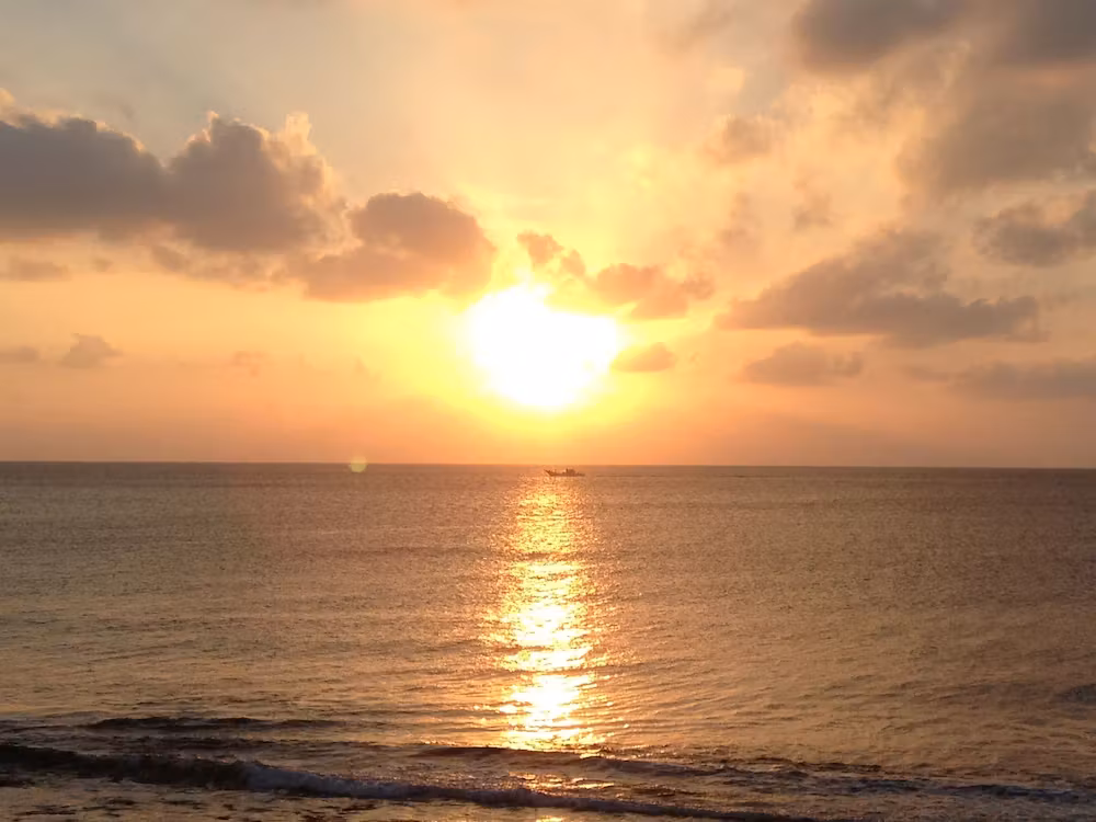 image url