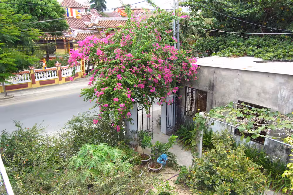image url