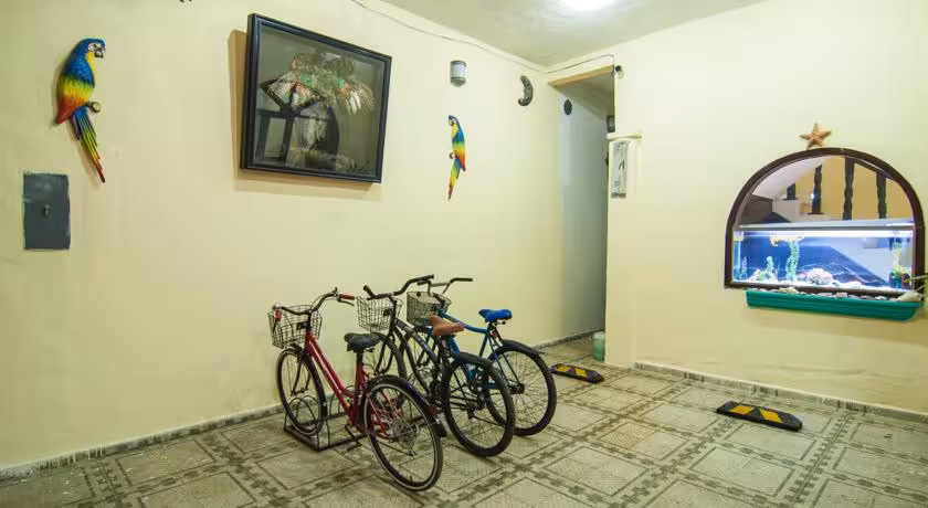 image url