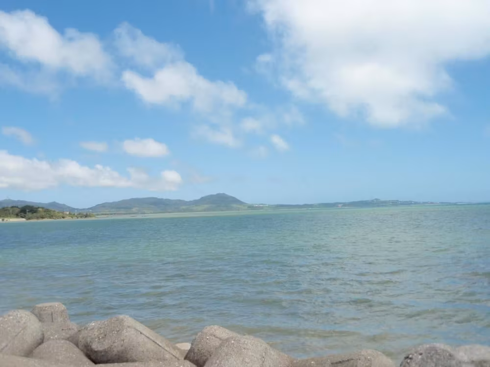 image url