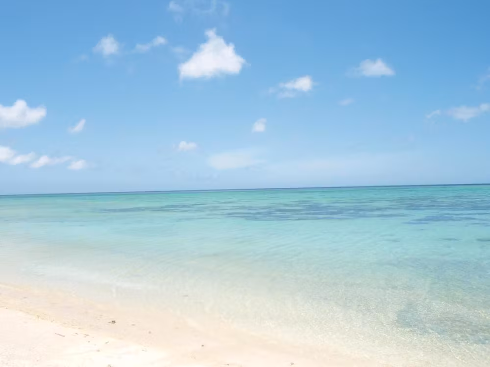 image url