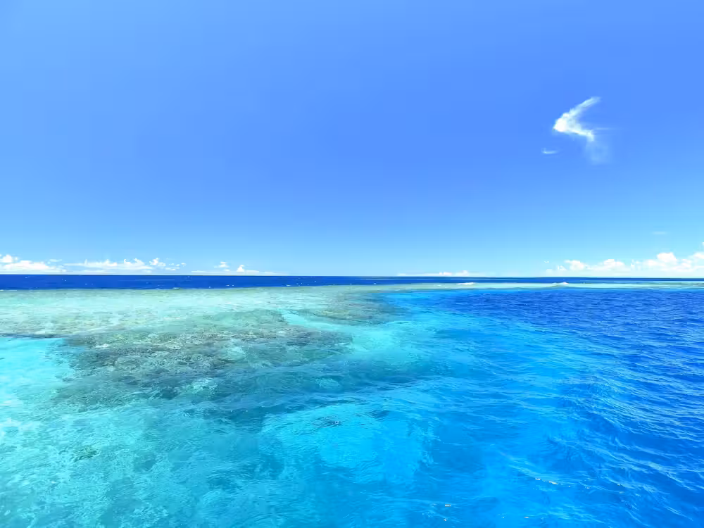 image url