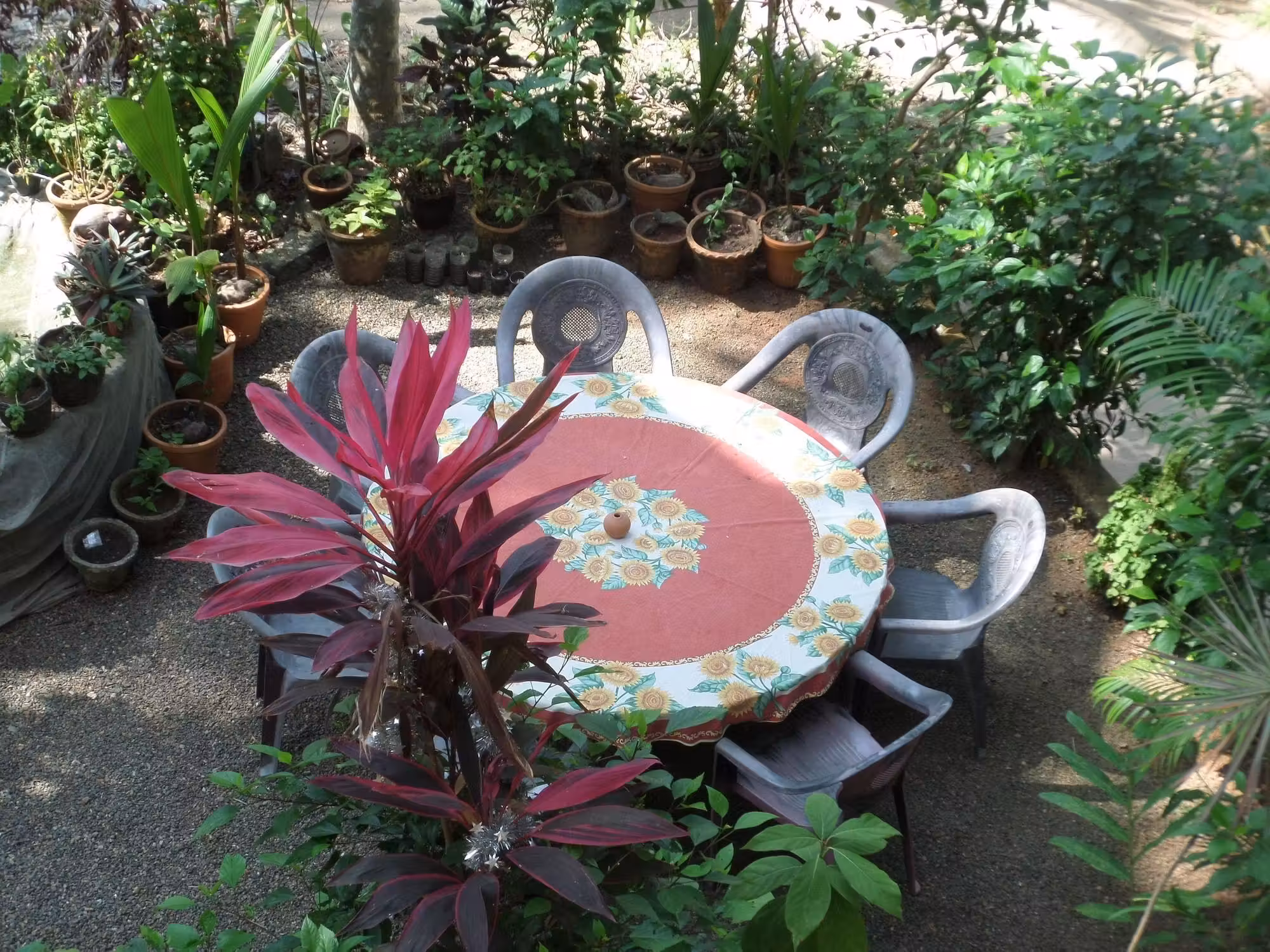 image url