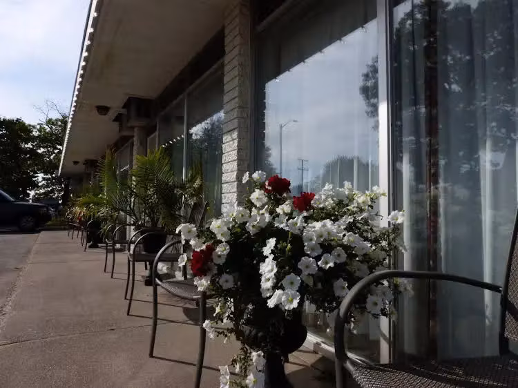 image url