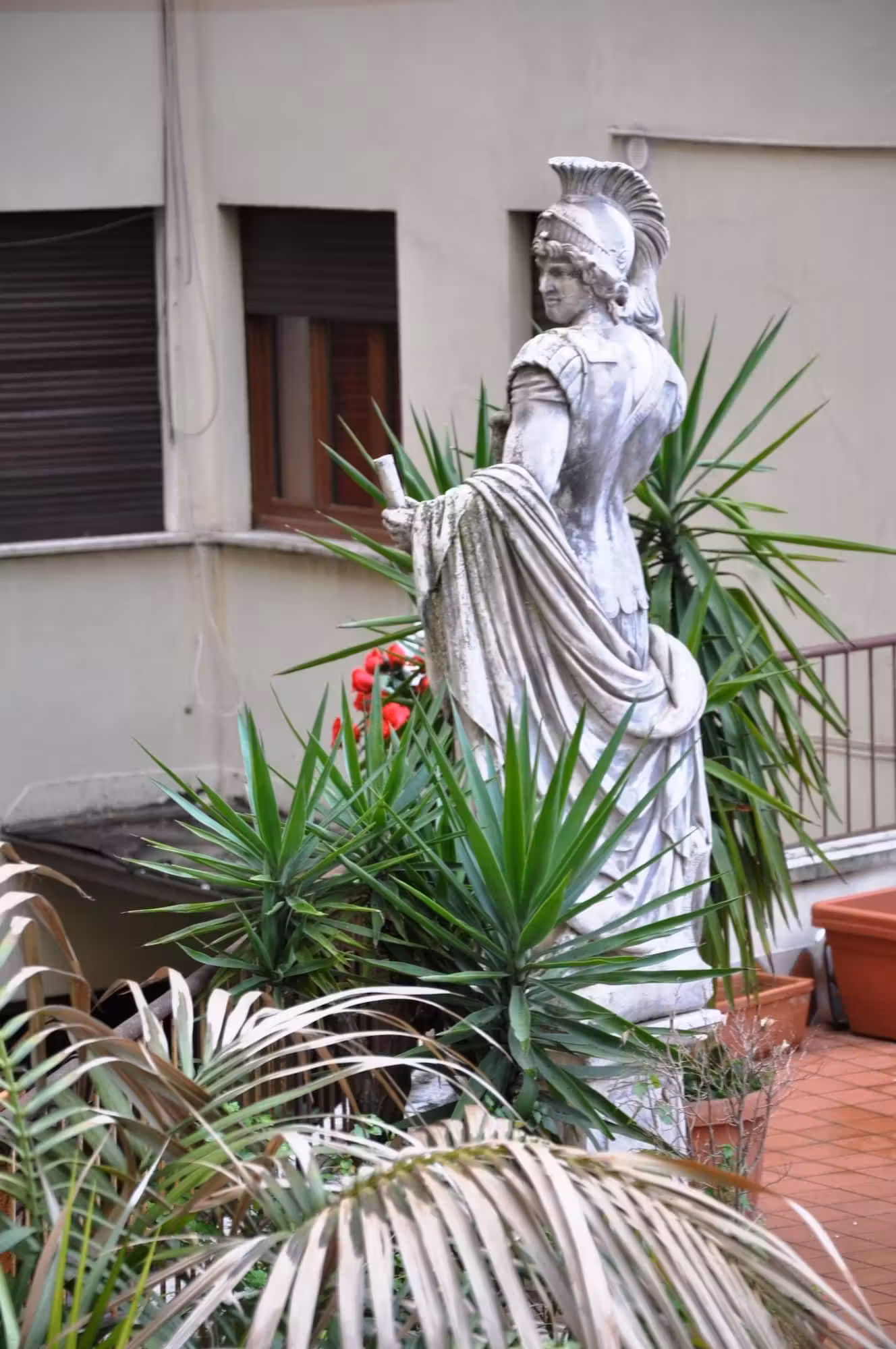 image url