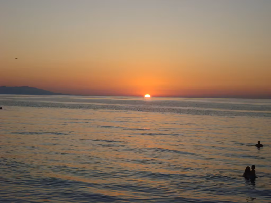image url