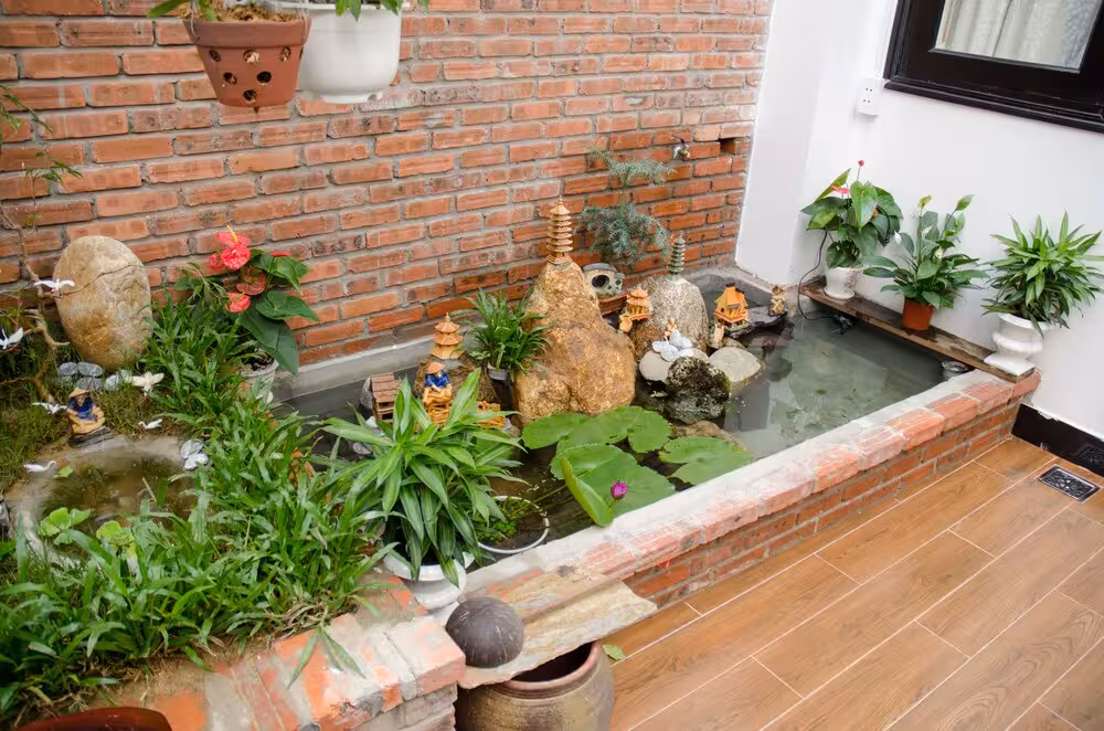 image url