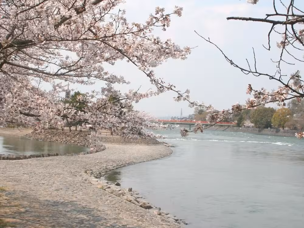 image url