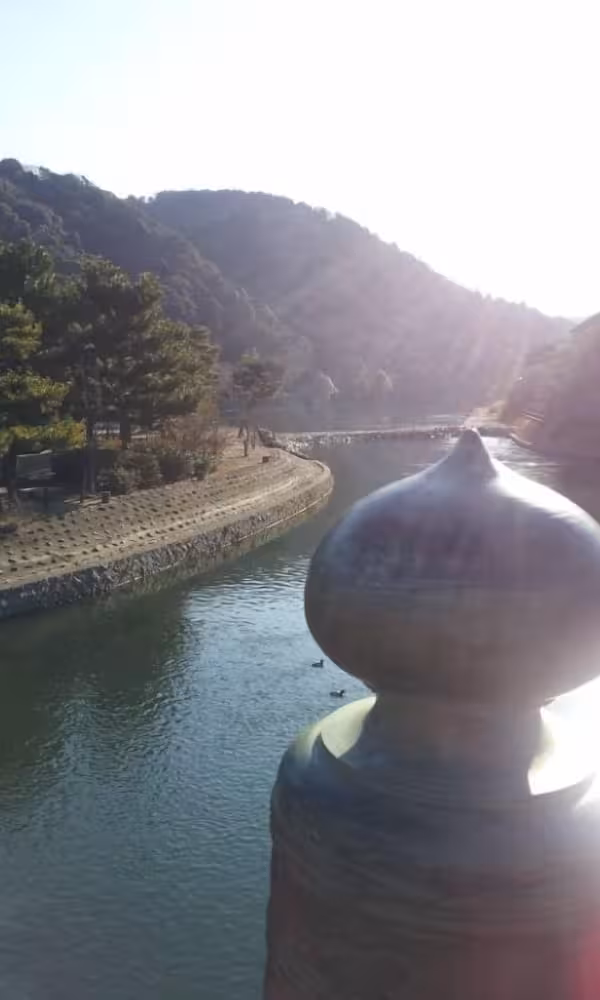 image url