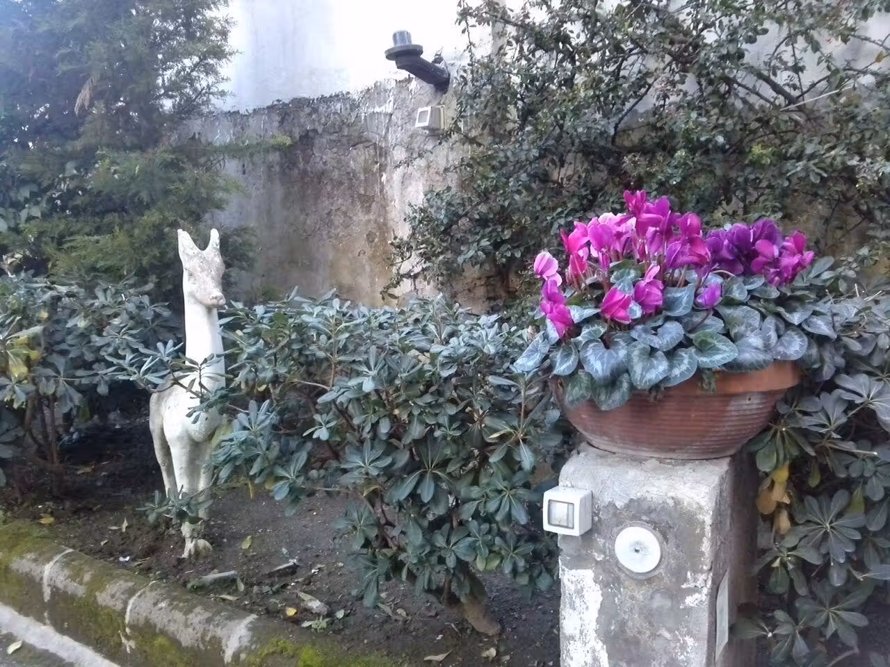 image url