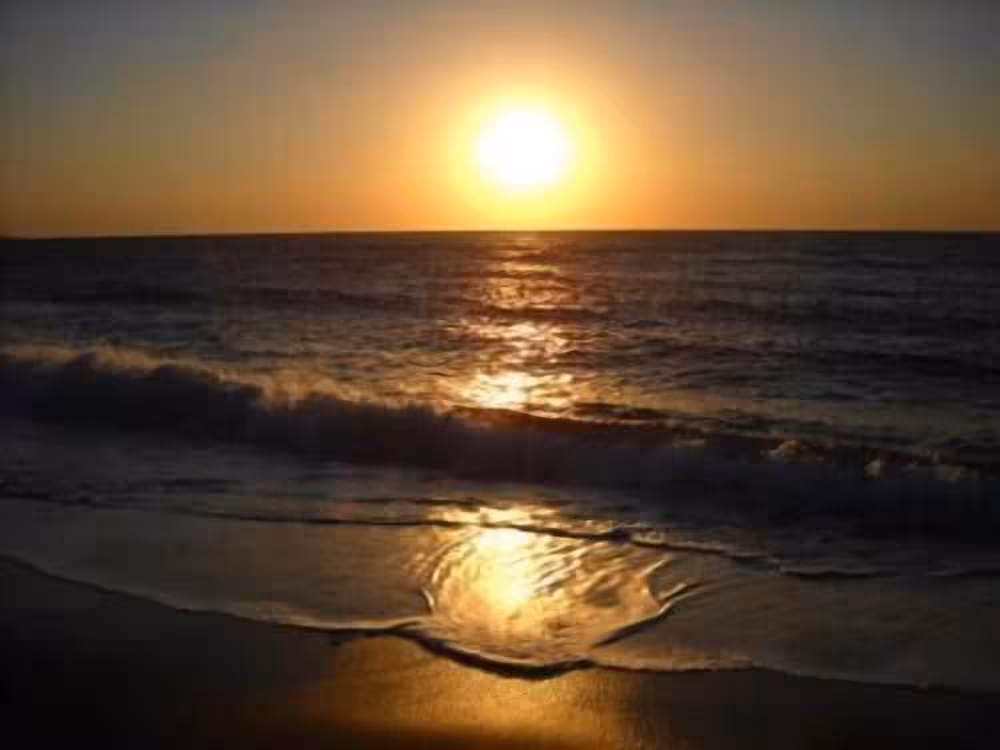 image url