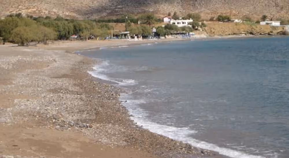 image url