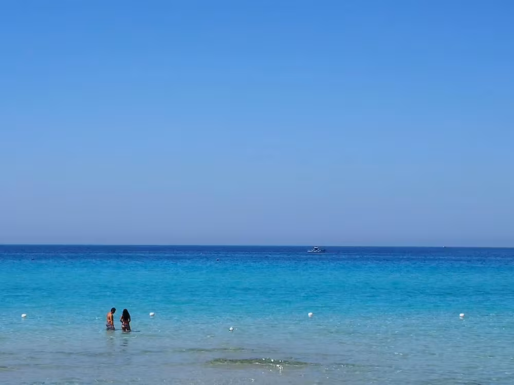 image url