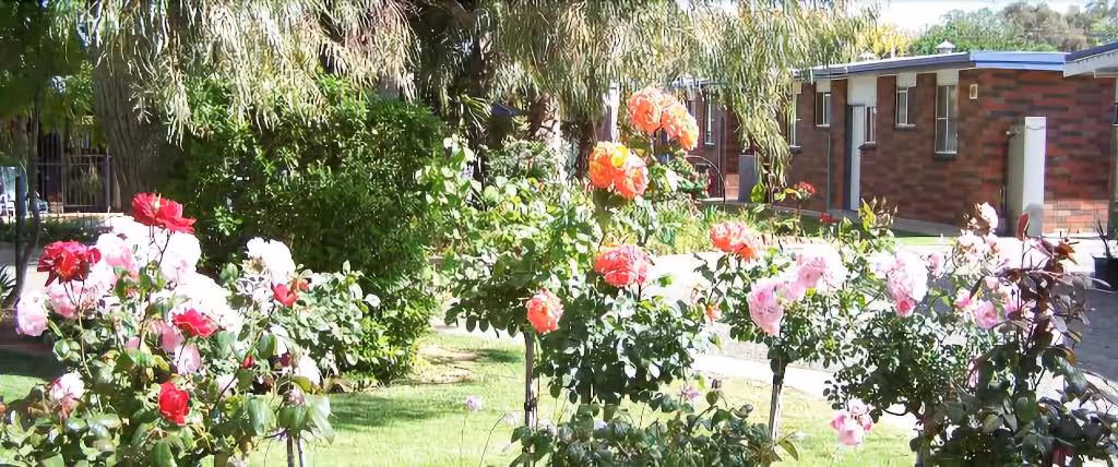 image url