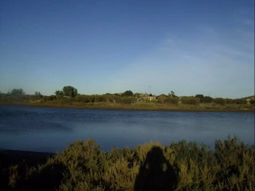 image url