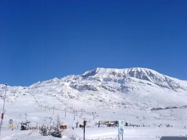 image url