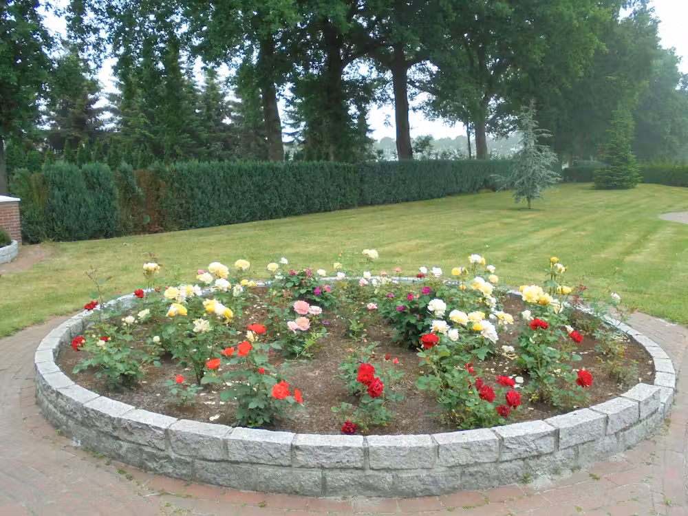 image url