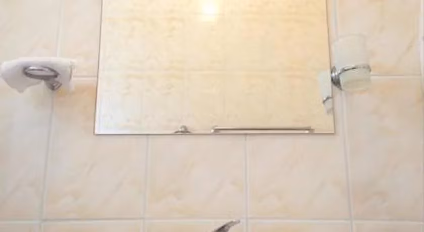 image url