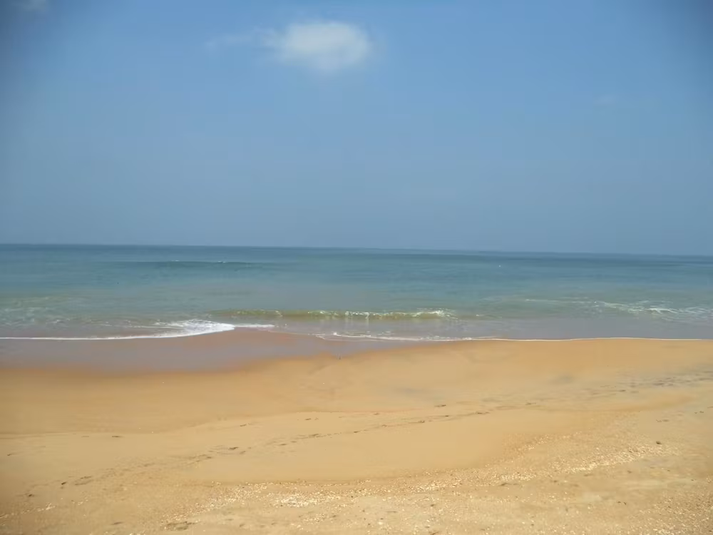 image url