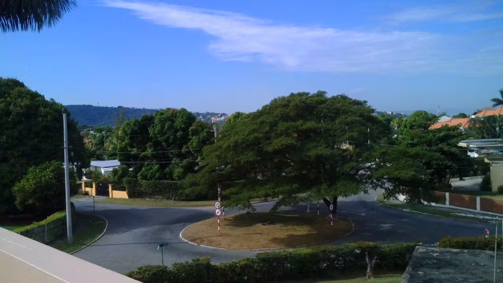 image url
