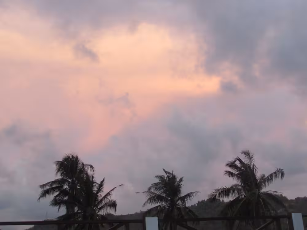image url