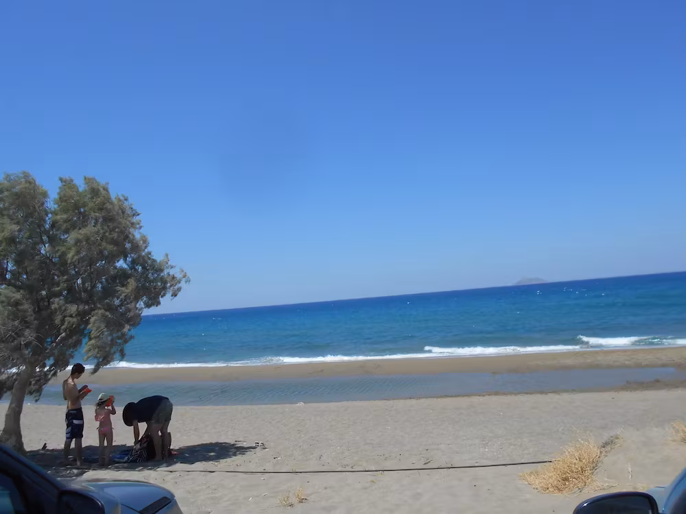 image url