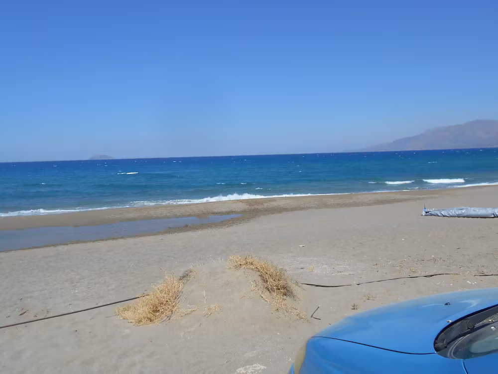 image url