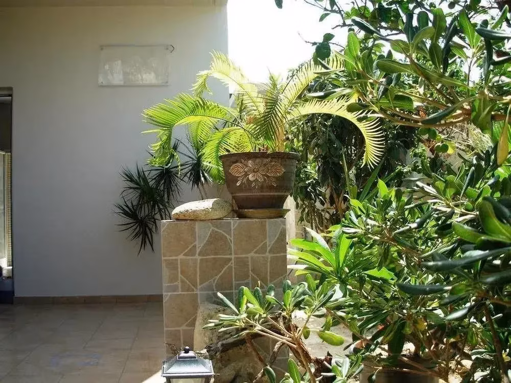 image url
