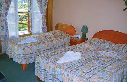 image url