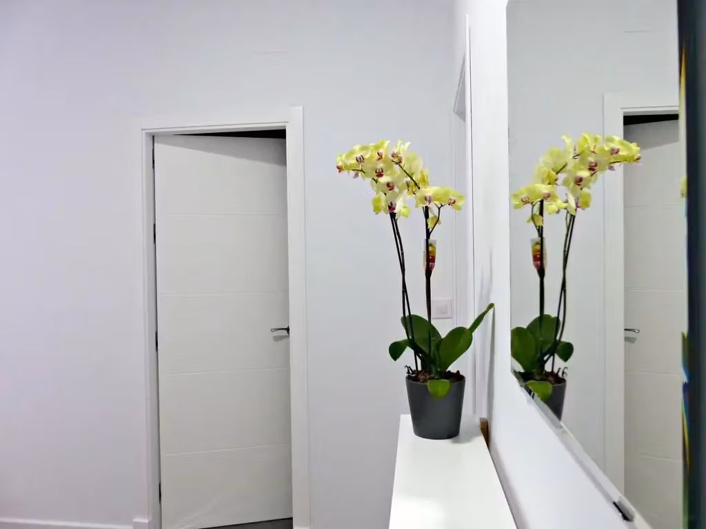 image url