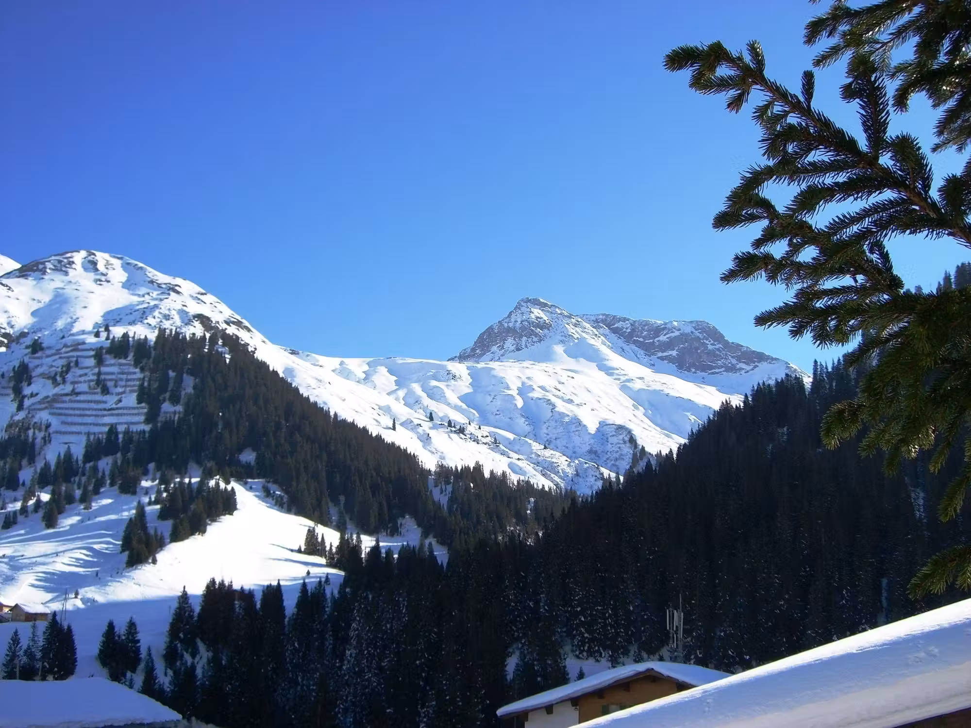 image url