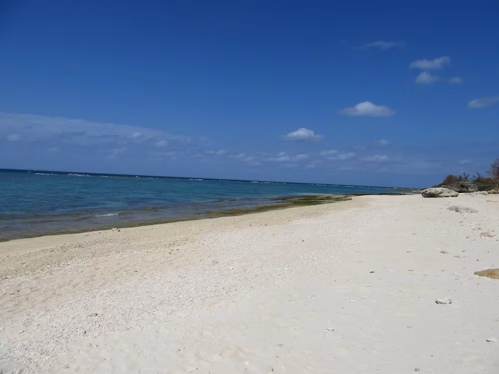 image url
