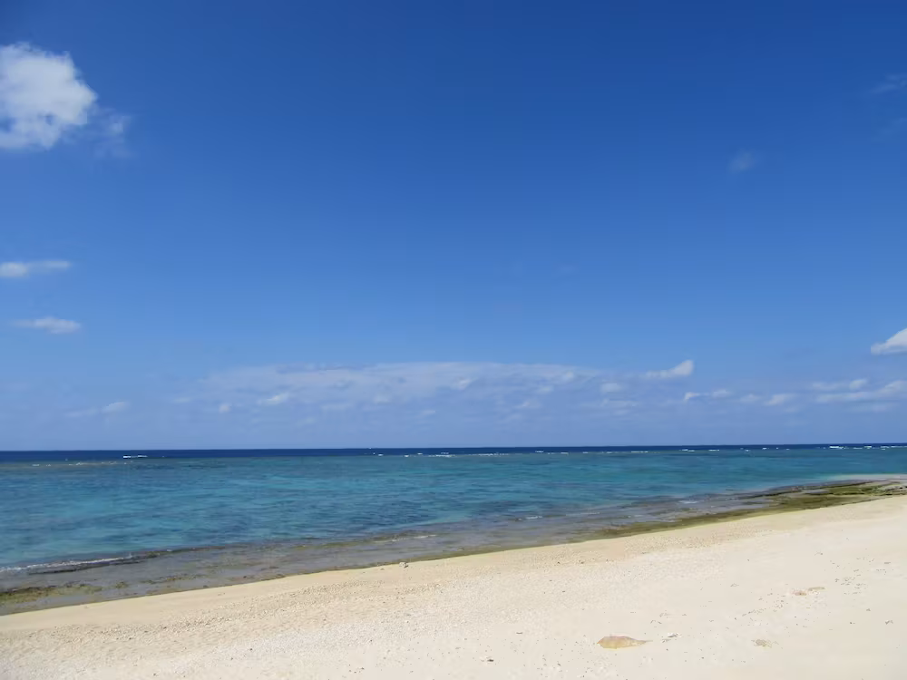 image url