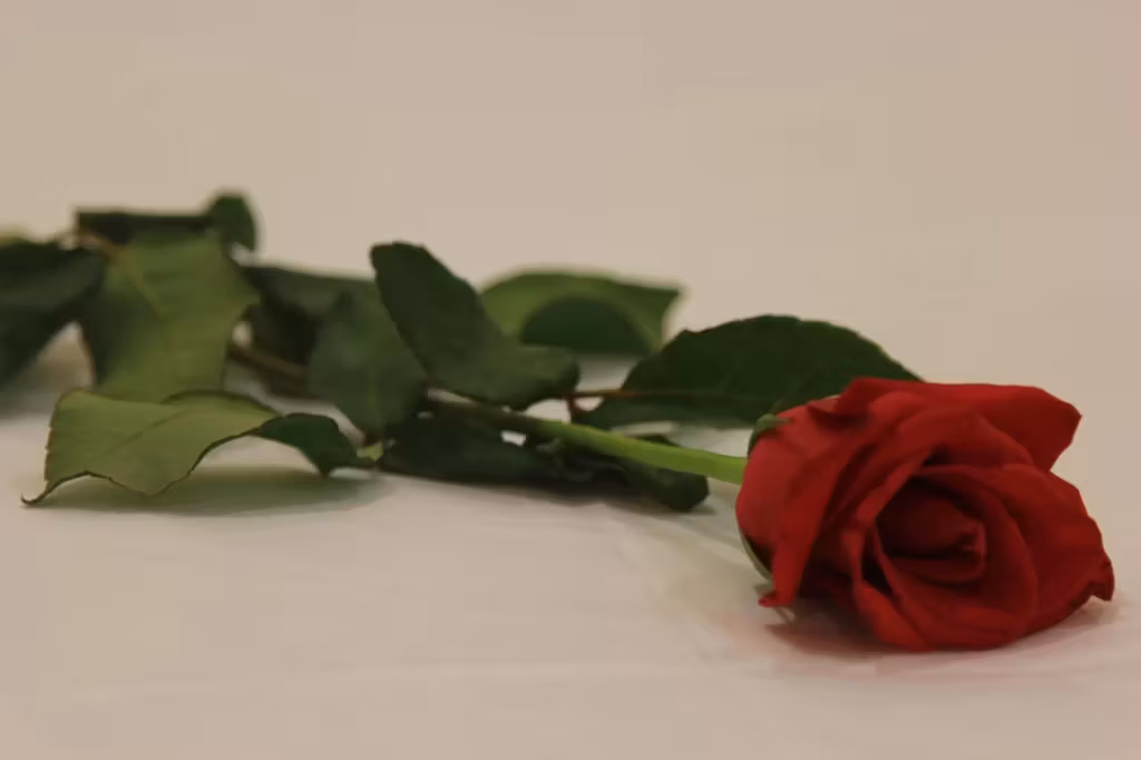 image url
