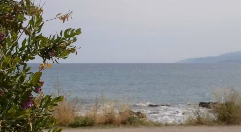 image url