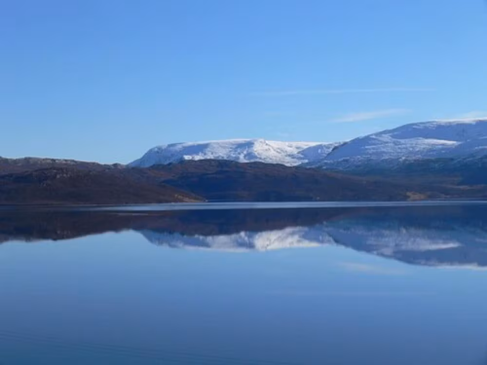 image url