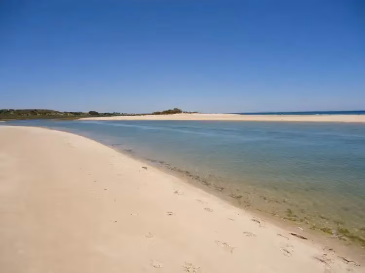 image url
