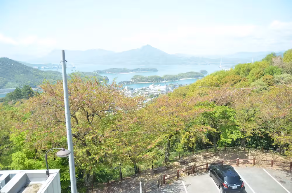 image url