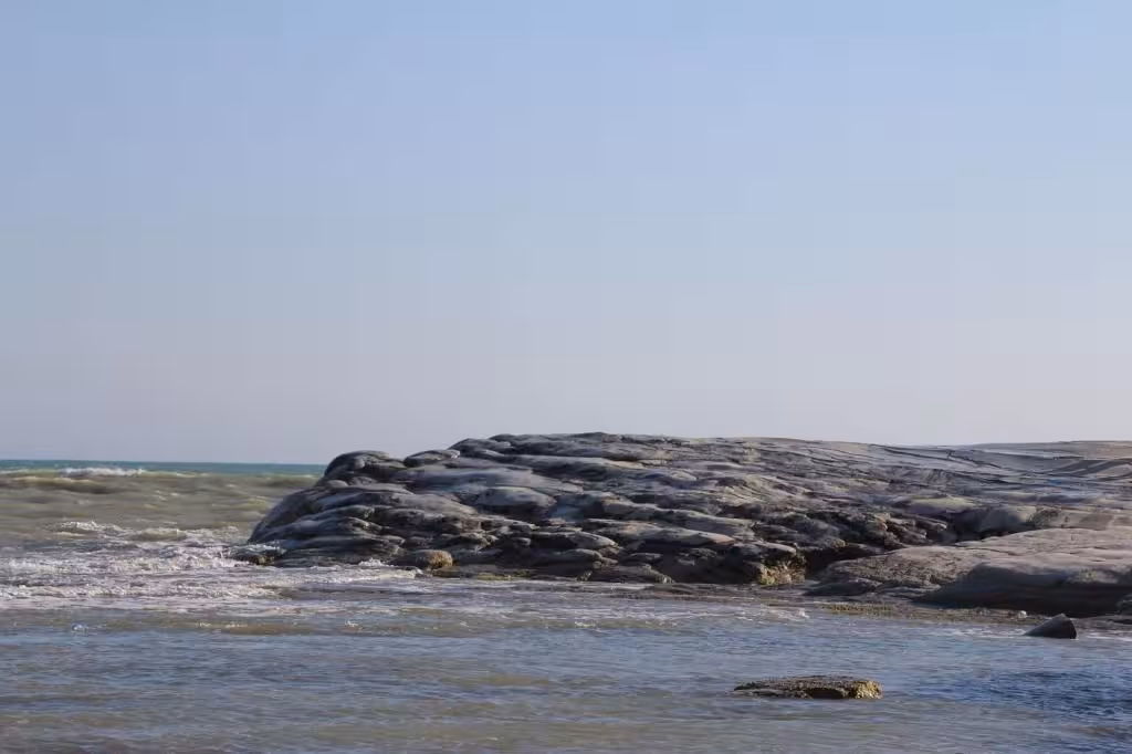 image url