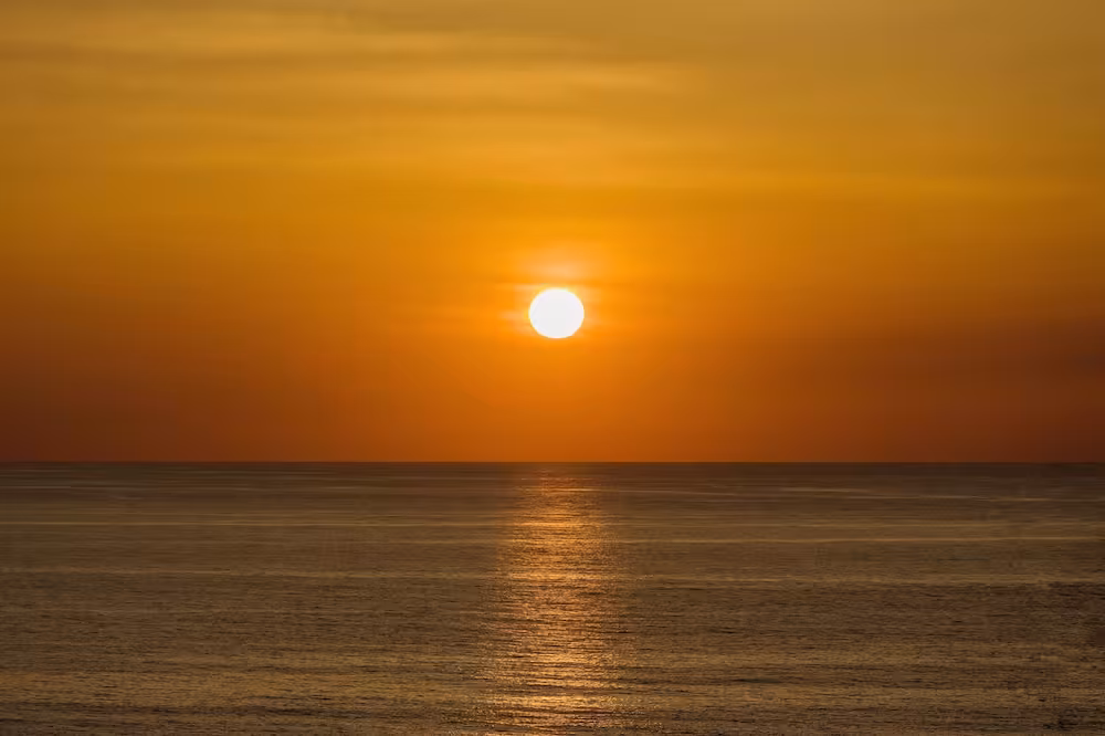 image url