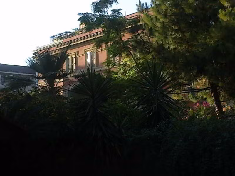 image url