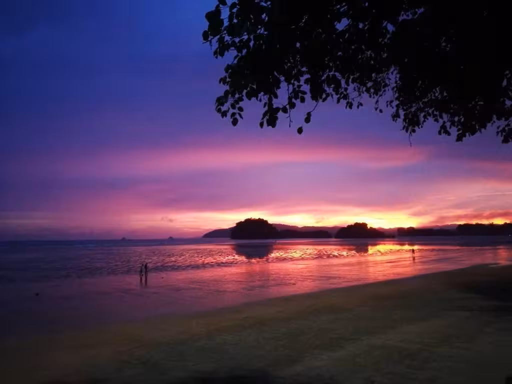 image url