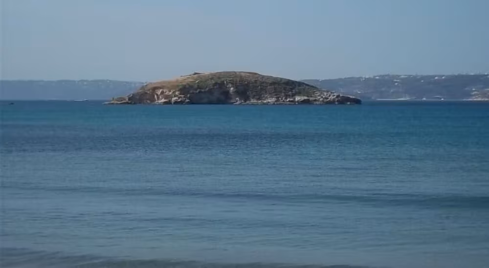 image url