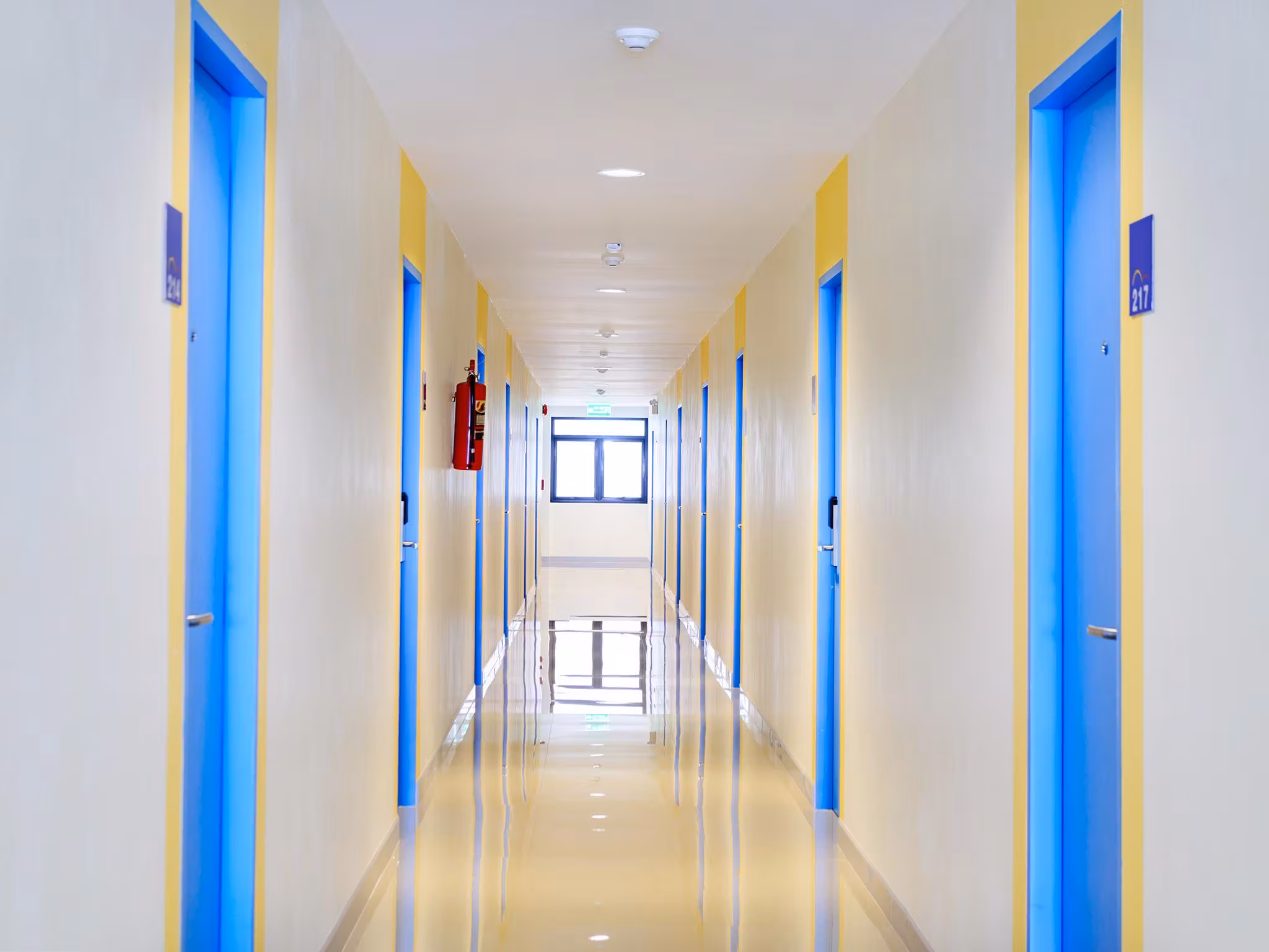 images