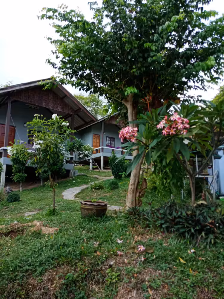 image url