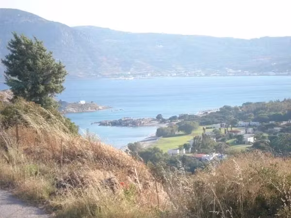 image url