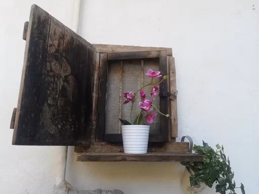 images