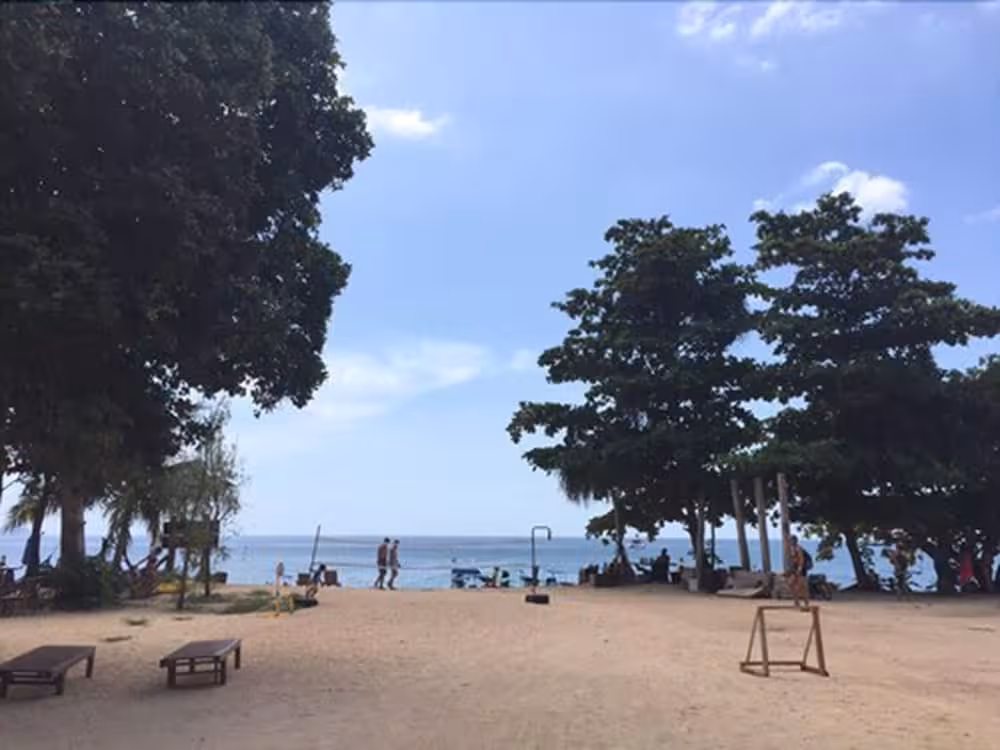 image url
