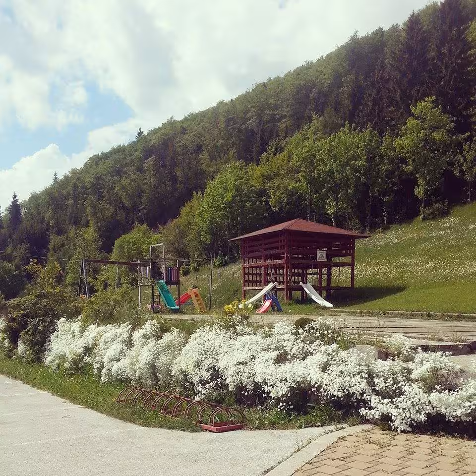 image url