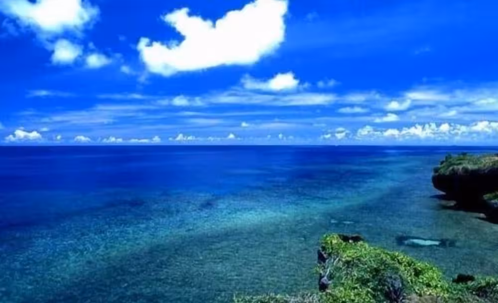 image url